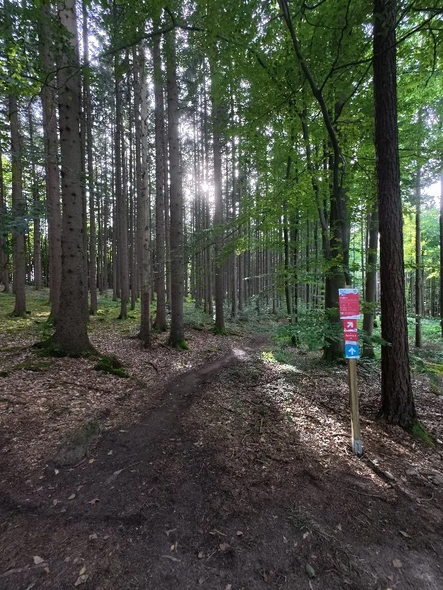 DIMB Würmtal Trails: Mountain Biking near Munich description