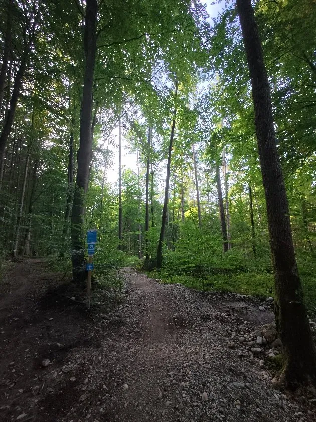 DIMB Würmtal Trails: Mountain Biking near Munich details