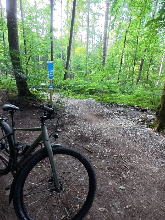 DIMB Würmtal Trails: Mountain Biking near Munich tips