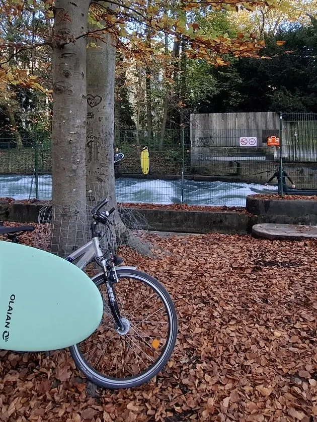 Surfing the E2 Wave in Munich: A Compact Guide tips