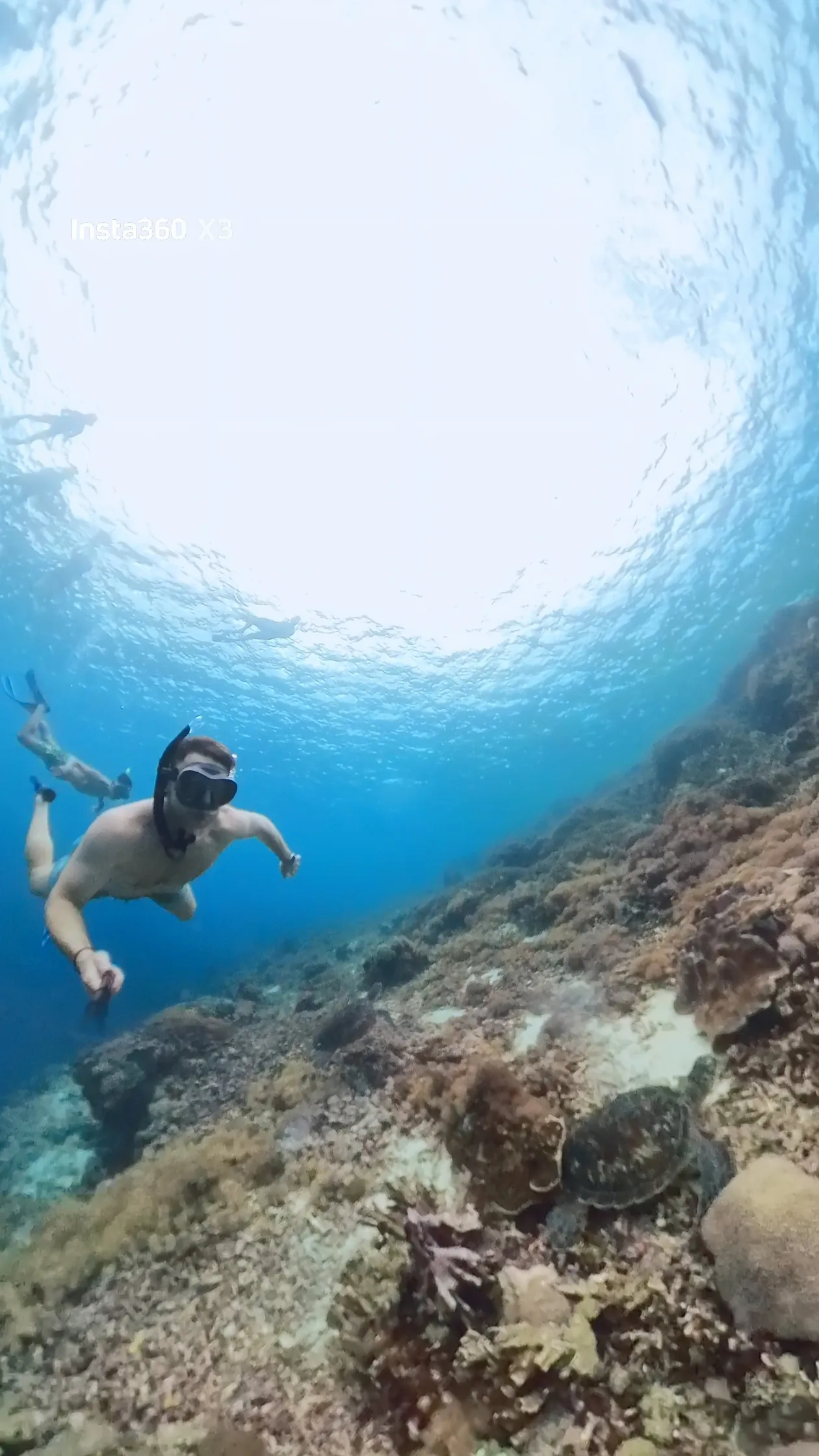 Excursión a Komodo: mantas, dragones e isla Padar details