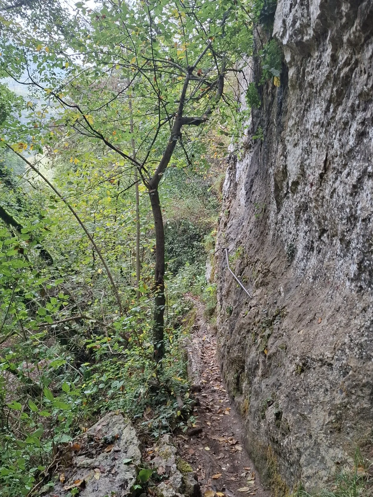 Val Sorda Gorge: Valpolicella's Wild Via Ferrata Hike description