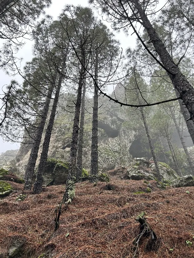 Hiking Roque Nublo: Gran Canaria's Cloud Rock details